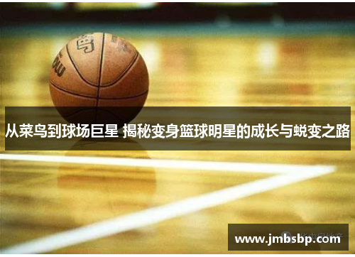 从菜鸟到球场巨星 揭秘变身篮球明星的成长与蜕变之路